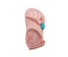 bebe Girl's Toddler EVA Sandals - Lightweight & Slip-On with Character Charms