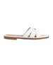 bebe Women's Fashion Sandal Trendy and Stylish Footwear with bebe Rivet
