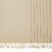 Laundry by Shelli Women's Slub Warm and Lightweight Rainbow Striped Fringe Scarf